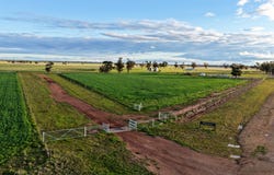 Westwood, 528 Forest Road, Forbes, NSW 2871