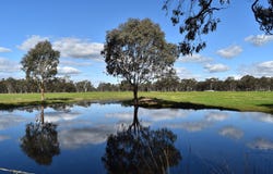 Lamplough-Greenhill Creek Road, Lamplough, Vic 3352