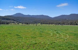 38791 Tasman Highway, Nunamara, Tas 7259