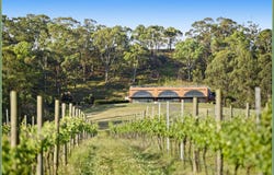 Lovedale, NSW 2325