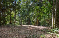 Lot 2, 2046 Mount Glorious Road, Mount Glorious, Qld 4520
