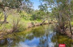 Boorowa, NSW 2586