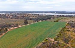 Sec 236, 730 & 731 Schell Road, Loveday, SA 5345