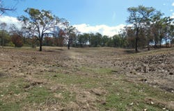 Lot 2 Leabons Road, Waterloo, Qld 4673