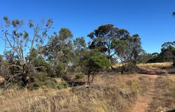 1095 Back Road, White Well Corner, SA 5690