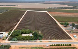 112 Swinstead Road, Barmera, SA 5345