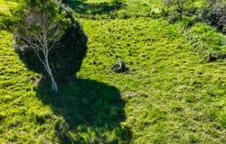 607 Delicia Road, Mapleton, Qld 4560