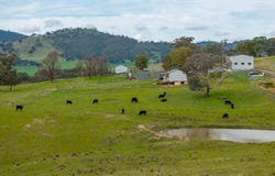 2543 Westbrook Road, Oberne Creek, NSW 2650