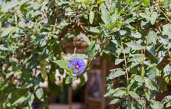14 Werloo Court, Leda, WA 6170