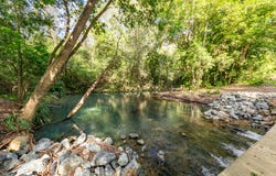 334 Mount Coxcomb Road, Upper Lansdowne, NSW 2430