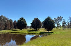 950 Yarck Rd, Yarck, Vic 3719