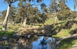 Lot 1, Brinkworth Range Road, Tungkillo, SA 5236