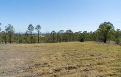 78A Fern Gully Road, Singleton, NSW 2330