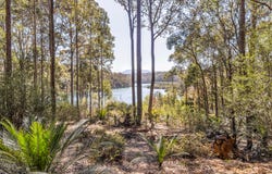 Lot 2 Black Marlin Drive, Bermagui, NSW 2546