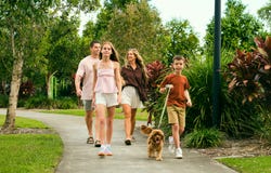 Lot 425, Stage 13B, Palmview, Qld 4553