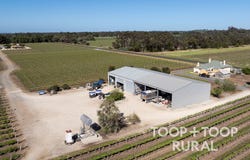 260 Belvidere Road, Nuriootpa, SA 5355