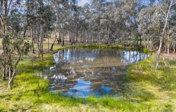 Lot 8, Bennetts Road, Junortoun, Vic 3551
