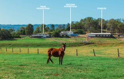 3272 Beaudesert Nerang Road, Biddaddaba, Qld 4275