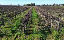 Lot 725, Ral Ral Avenue, Renmark, SA 5341
