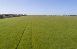 'Sims' Section 87N Rickaby Road, Minlaton, SA 5575