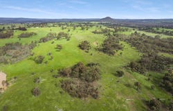 116D Redgum Road, Broadford, Vic 3658