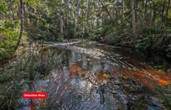 300 Coopers Road, Rocky Cape, Tas 7321