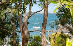 128 Fishing Point Road, Fishing Point, NSW 2283