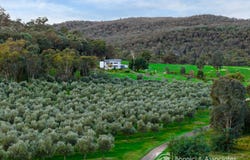117 Sugarloaf Lane, Beechworth, Vic 3747