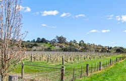 Lot 434 Tullich Street, Bulla, Vic 3428
