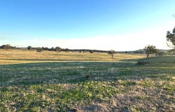 1277 Cheviot Hills Road, Kyeamba, NSW 2650