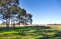 220 Mcdonalds Road, Clunes, Vic 3370