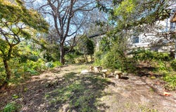15 Gore Street, Greenwich, NSW 2065