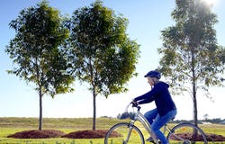 Lot 9304, 15 Durack Ave, Catherine Field, NSW 2557