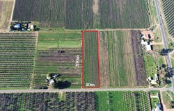 Lot 725, Ral Ral Avenue, Renmark, SA 5341