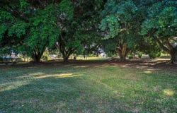 8 Iluka Place, Avenell Heights, Qld 4670