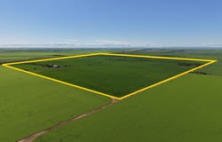 534 Willamulka Rd, Willamulka, SA 5554