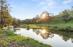 1415 Bridgman Road, Bridgman, NSW 2330
