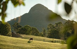 102 Solar Road, Eumundi, Qld 4562
