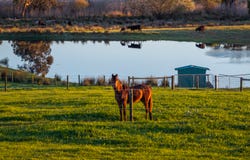 130 Wimpole Road, Bunyip North, Vic 3815