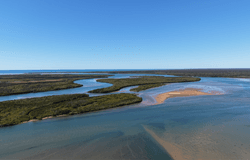 6 Driftwood Court, Winfield, Qld 4670