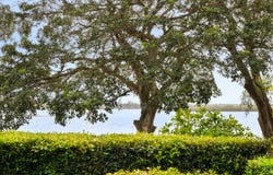 1/24 Picnic Point Esplanade, Maroochydore, Qld 4558