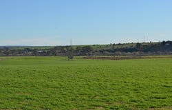 291 Murrawong Road, Murray Bridge, SA 5253