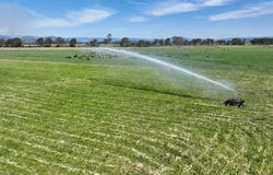 Holding 3, 288 Round Mountain Road, Laravale, Qld 4285