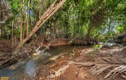 65 Meuanbah Road, Bombeeta, Qld 4871