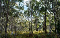 1167 Pelham Road, Hamilton, Tas 7140