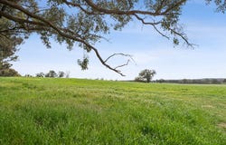 875 Emu Creek Road, Emu Creek, Vic 3551