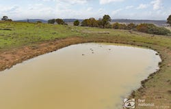 2779 Black Stump Way, Coolah, NSW 2843
