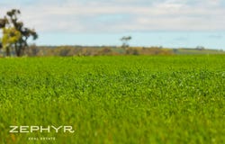Dandaragan Road, Dandaragan, WA 6507