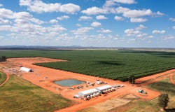 Square Well Lane, Hillston, NSW 2675