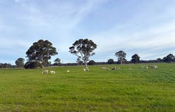 310 Redcourt Lane, Lindenow South, Vic 3875